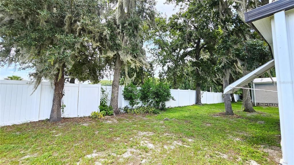 Backyard with Trees & Privacy Fence