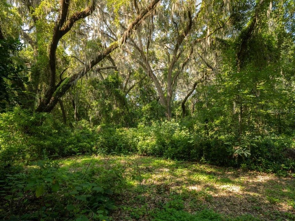 На продажу: $95,000 (2.23 acres)