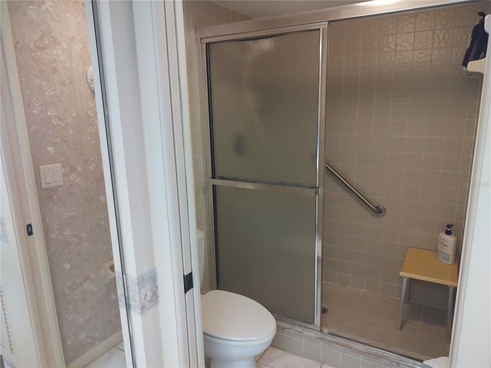 Primary walk-in shower