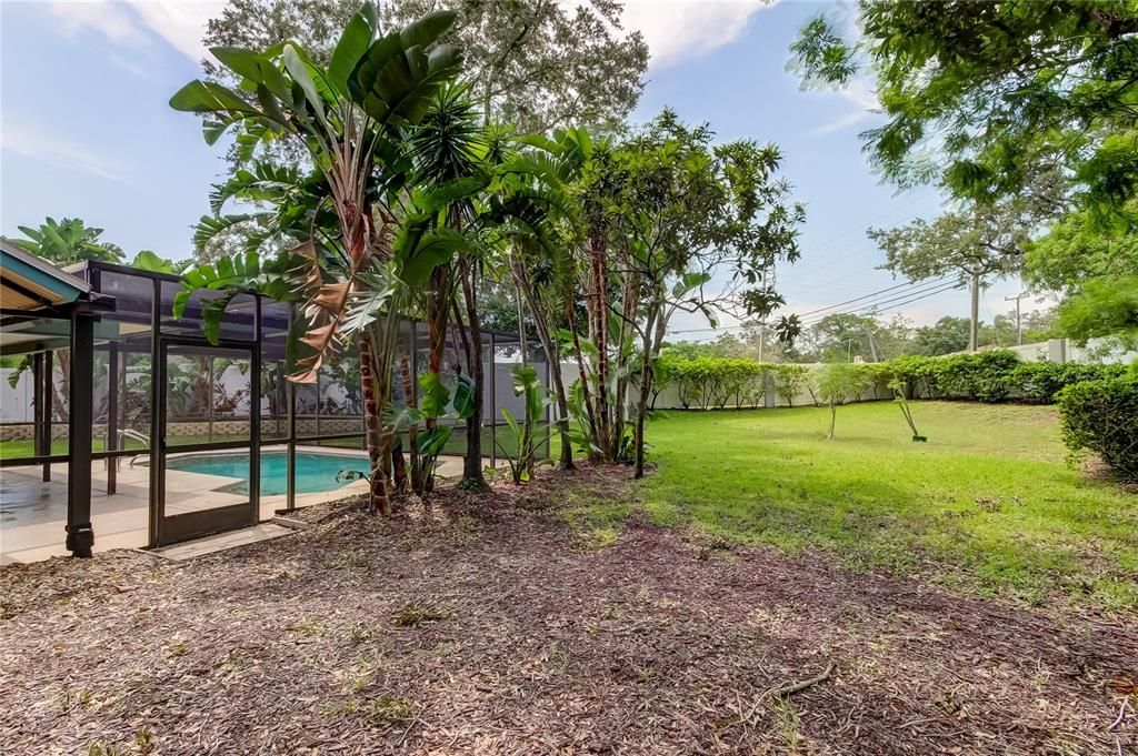 Side Lanai Door to Access Backyard..