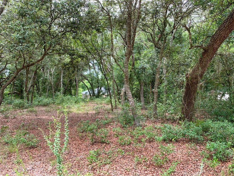 Vendido Recientemente: $18,500 (0.20 acres)