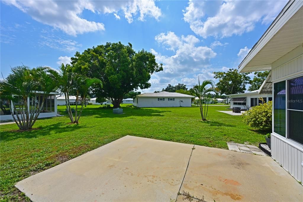 Back yard/porch