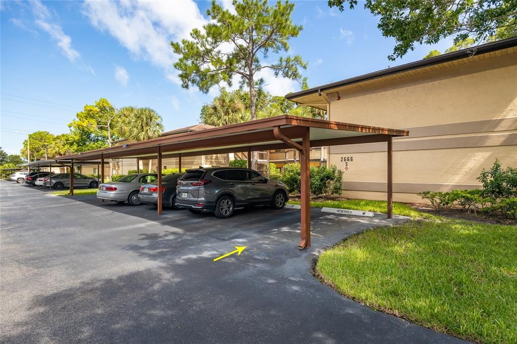 Assigned Covered Carport with ample guest parking available.