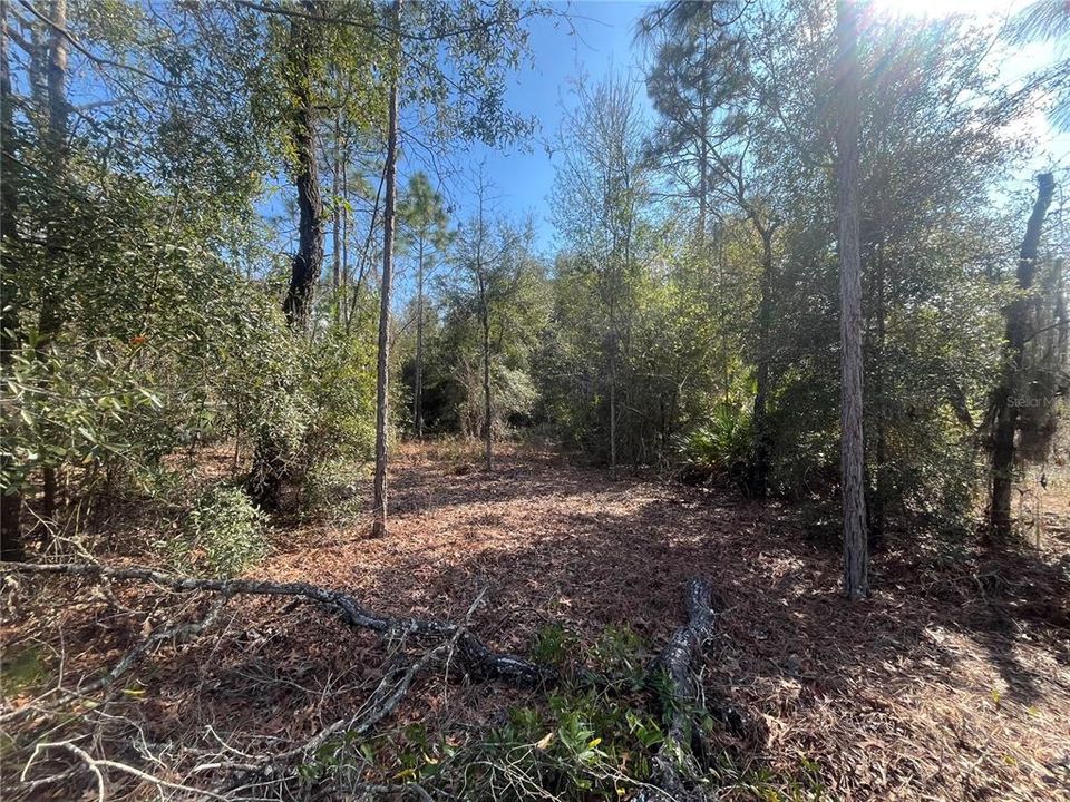 En Venta: $10,500 (0.34 acres)