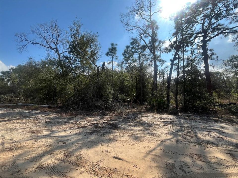 En Venta: $10,500 (0.34 acres)