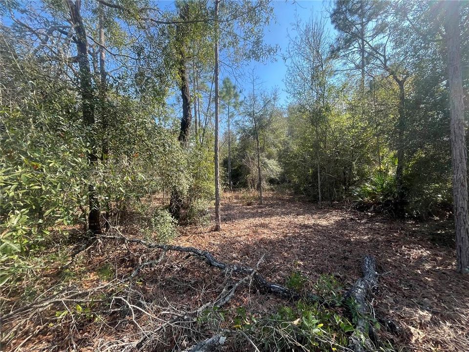 En Venta: $10,500 (0.34 acres)