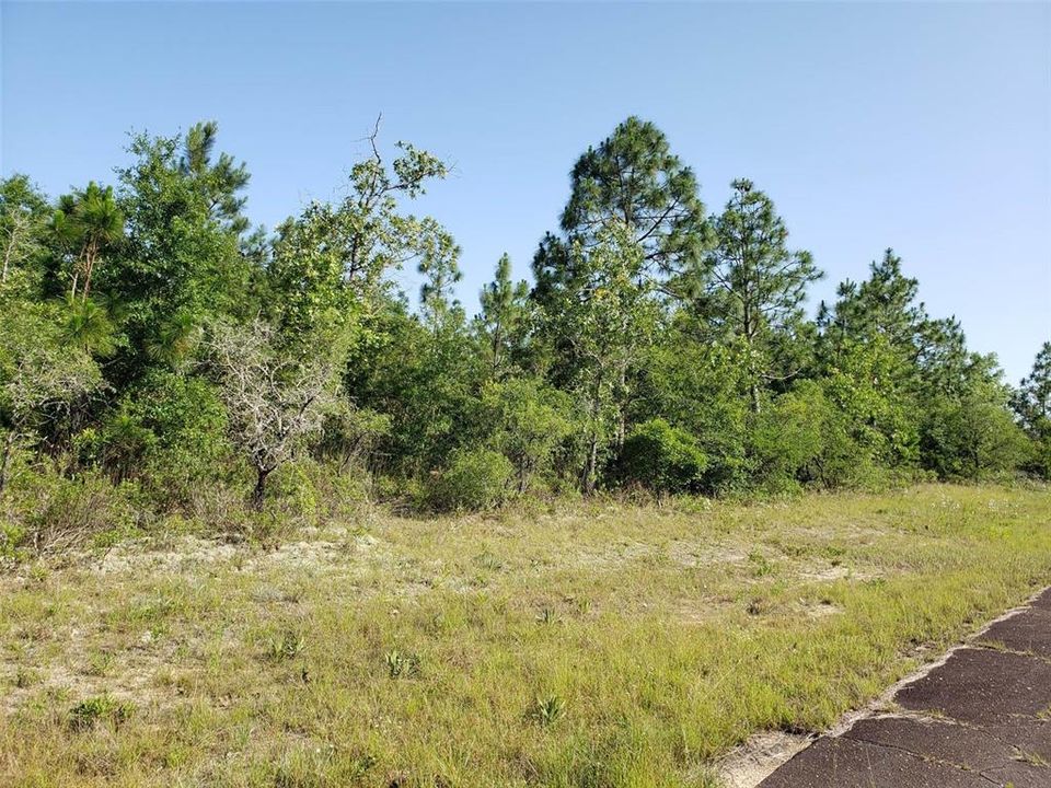 Recently Sold: $5,995 (0.29 acres)