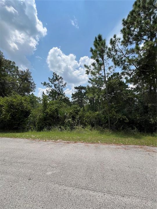 Recently Sold: $99,000 (1.06 acres)