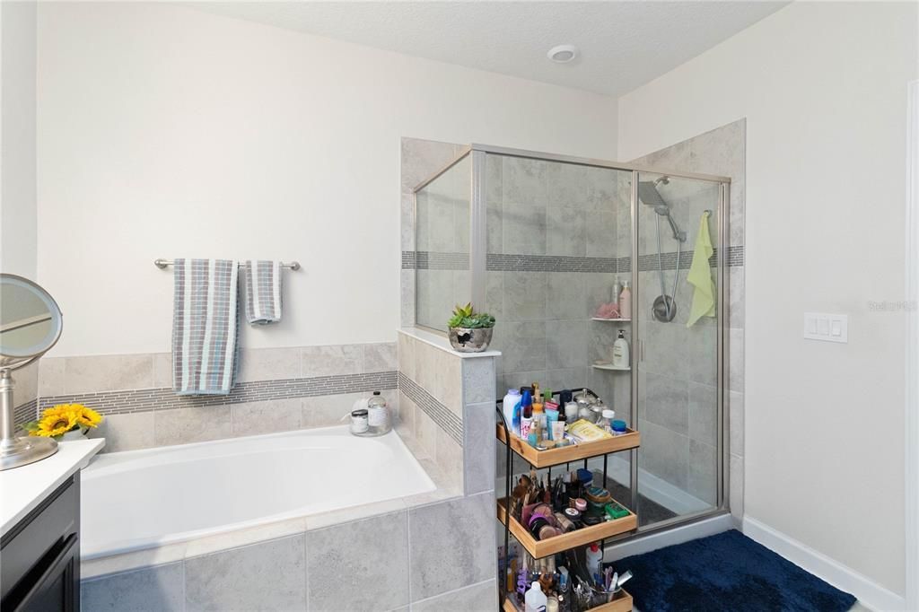 Master Bath with shower & Tub