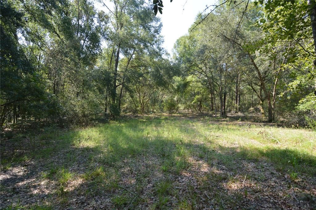 For Sale: $240,000 (40.00 acres)