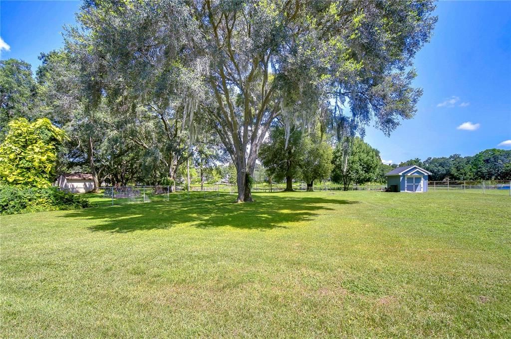 Beautiful backyard with NO backyard neighbors!