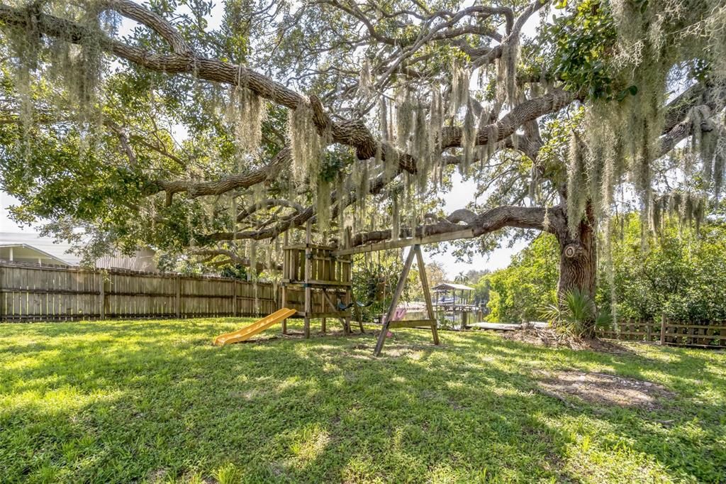 Backyard with Play Set