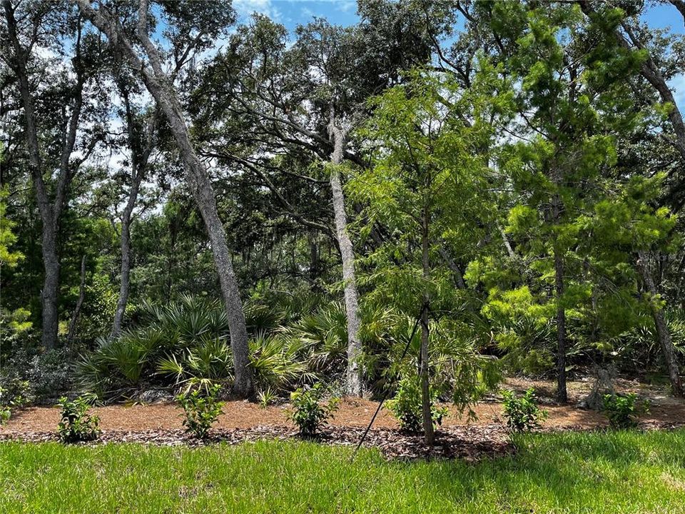 Pool view of the reserve