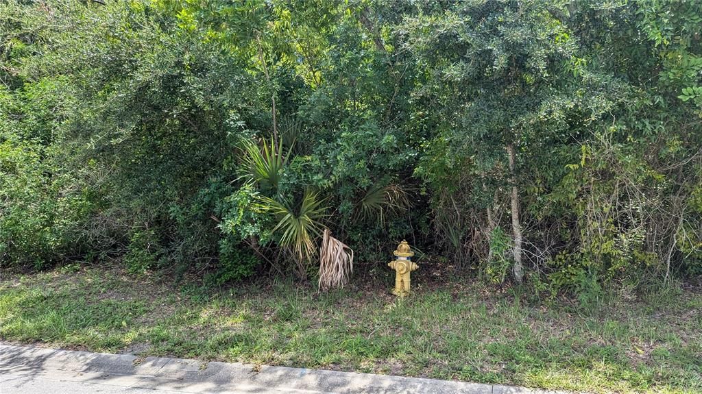 Street View Fire Hydrant On West Lot Line