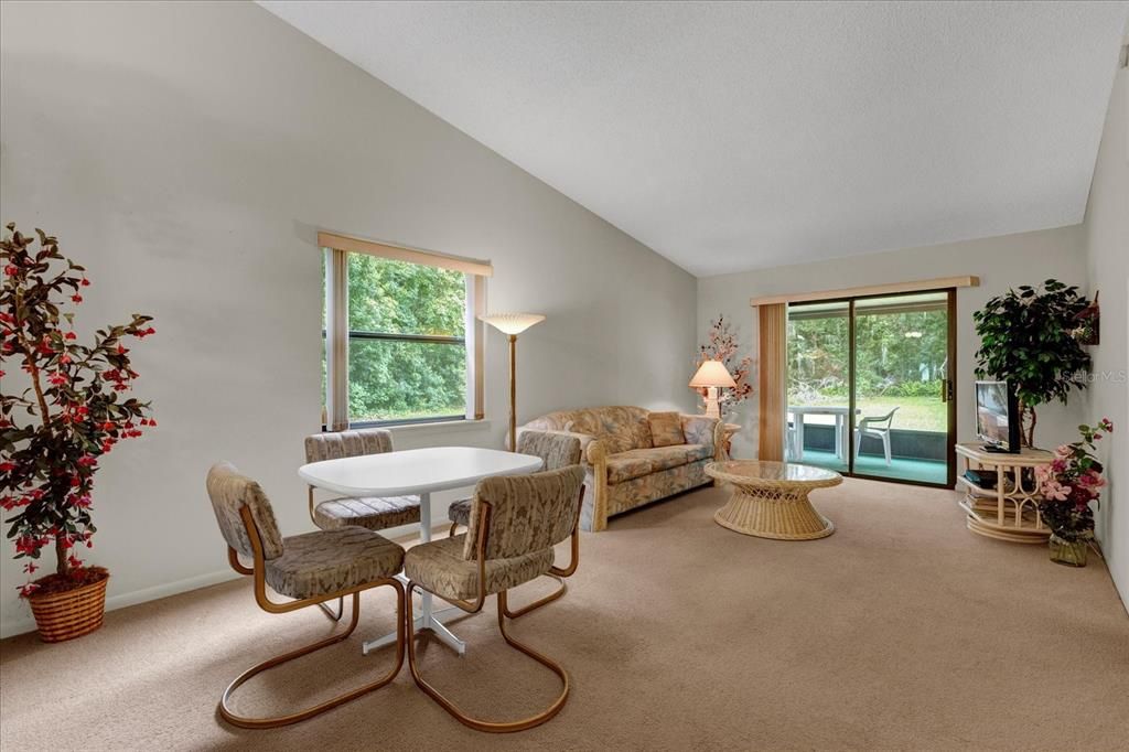 Vaulted Ceiling in Living Room