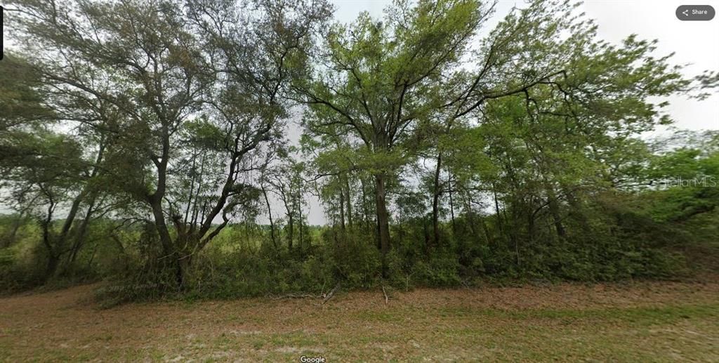 For Sale: $45,300 (1.25 acres)