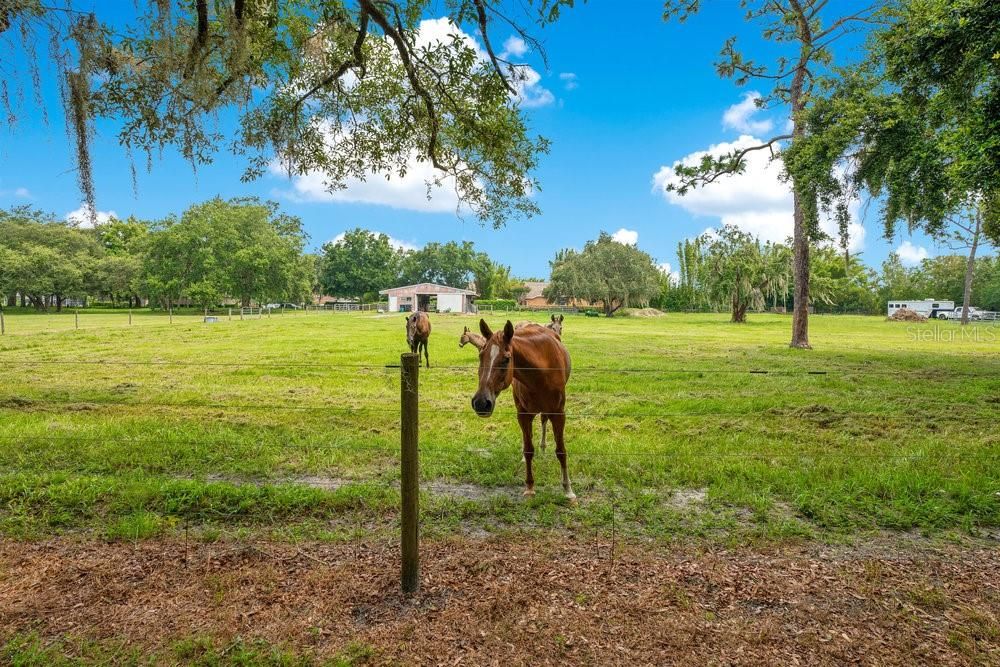 En Venta: $2,975,000 (5 camas, 4 baños, 3993 Pies cuadrados)