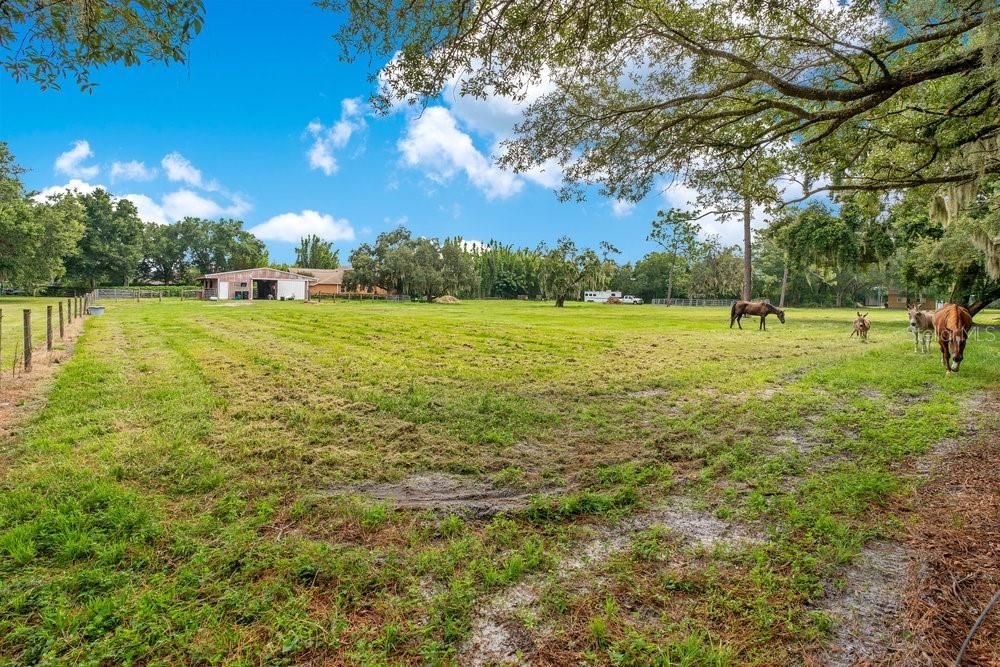 For Sale: $2,975,000 (5 beds, 4 baths, 3993 Square Feet)