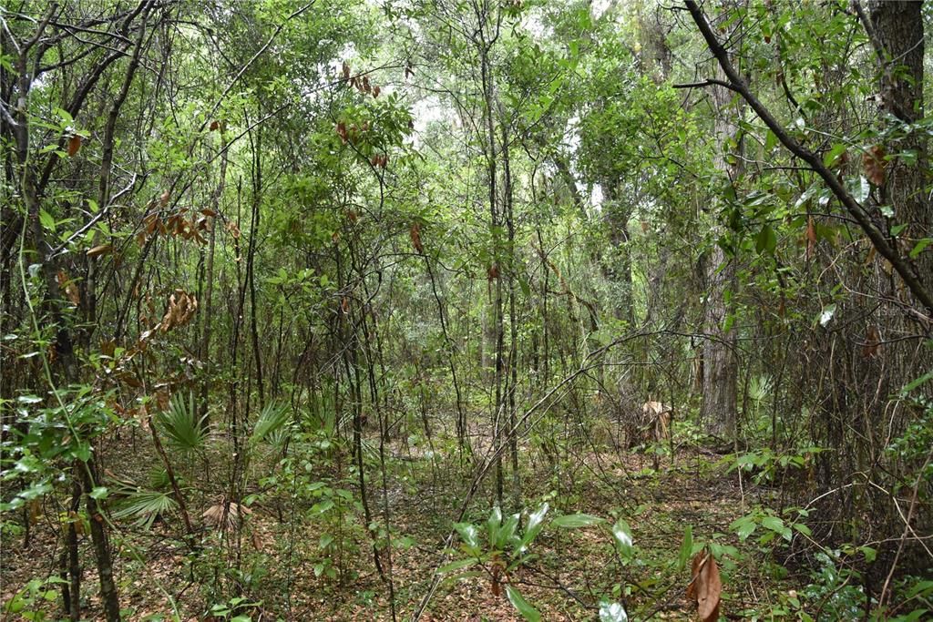 На продажу: $398,000 (5.00 acres)