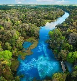 Rainbow River State Park