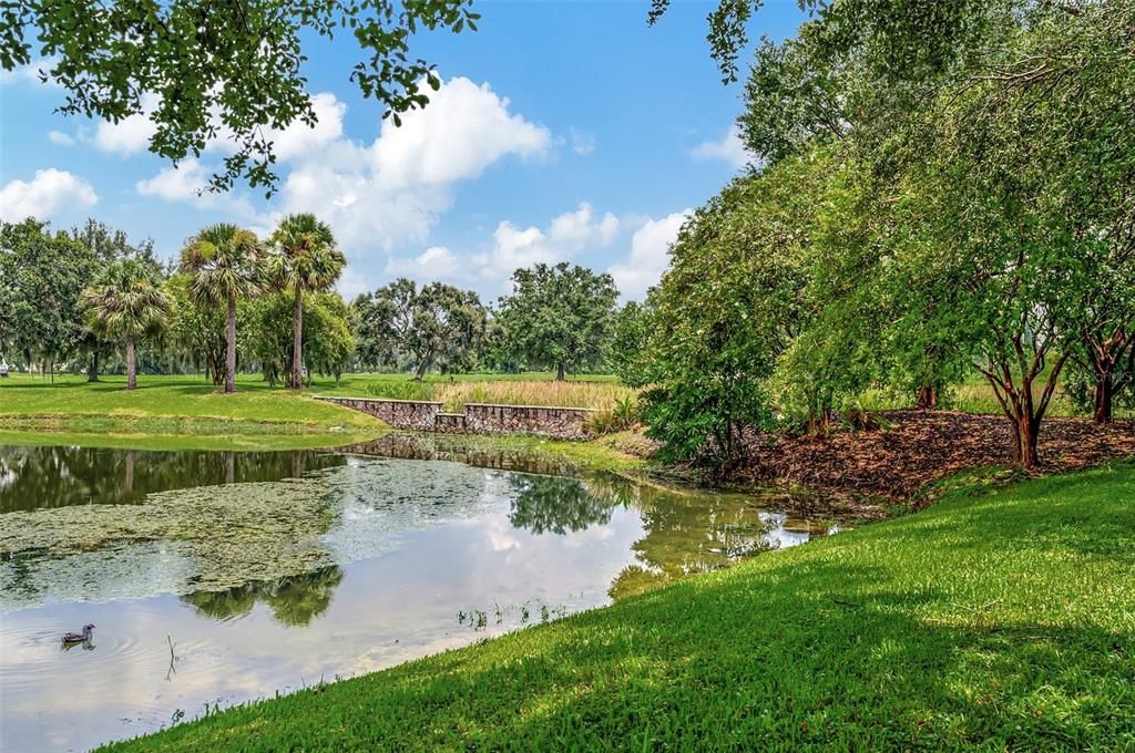 For Sale: $498,500 (3 beds, 2 baths, 2304 Square Feet)