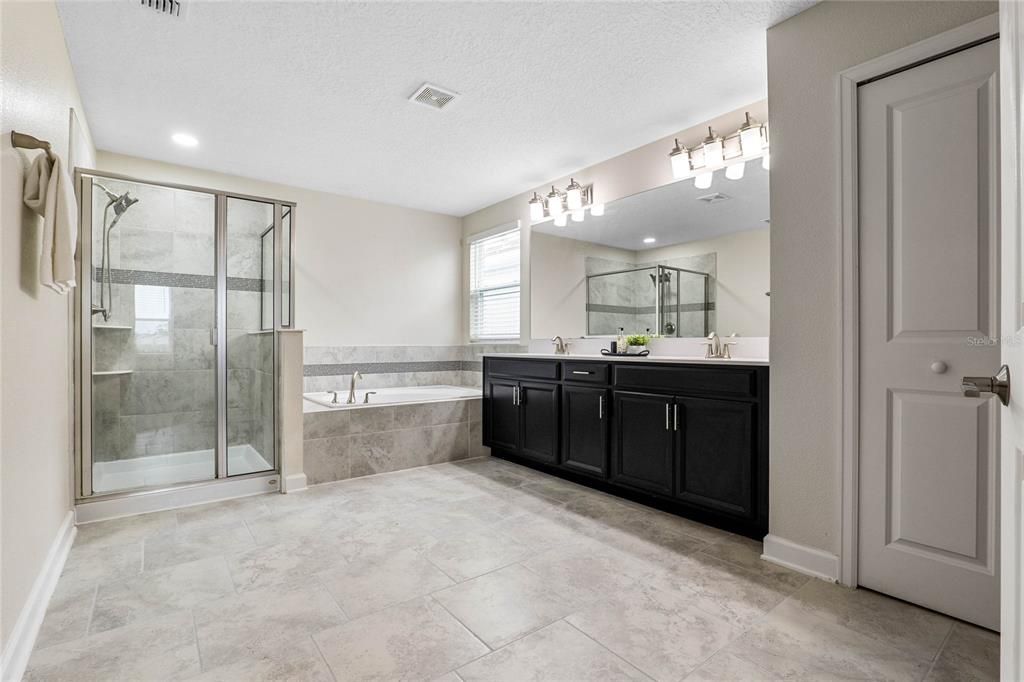 Primary Bathroom Tub + Shower