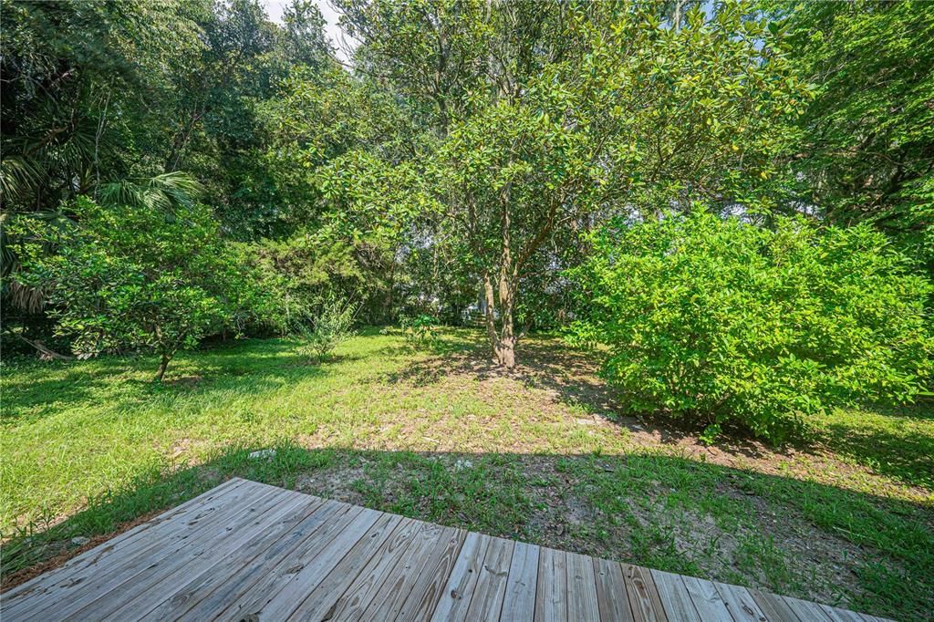 Back porch looking towards spacious yard.