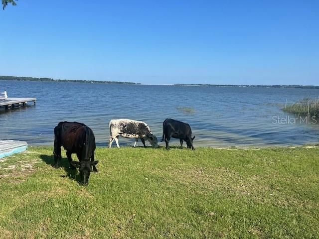 Active With Contract: $1,379,400 (10.45 acres)