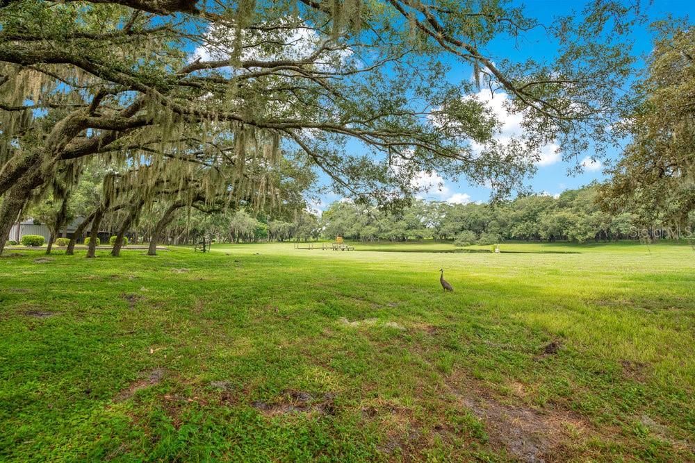 For Sale: $2,975,000 (12.36 acres)