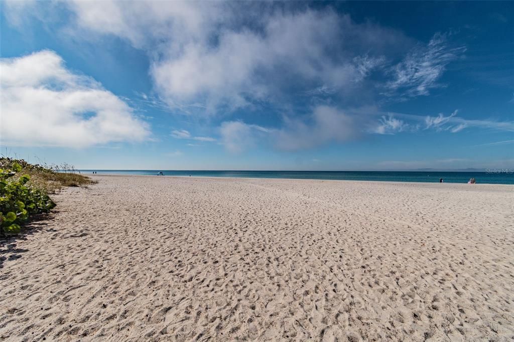 Manatee Public Beach