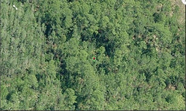 For Sale: $49,000 (1.17 acres)