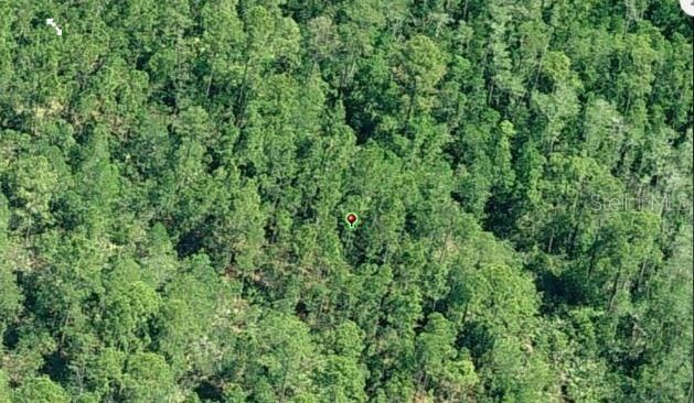 For Sale: $49,000 (1.19 acres)