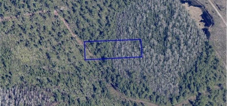 For Sale: $10,800 (1.26 acres)