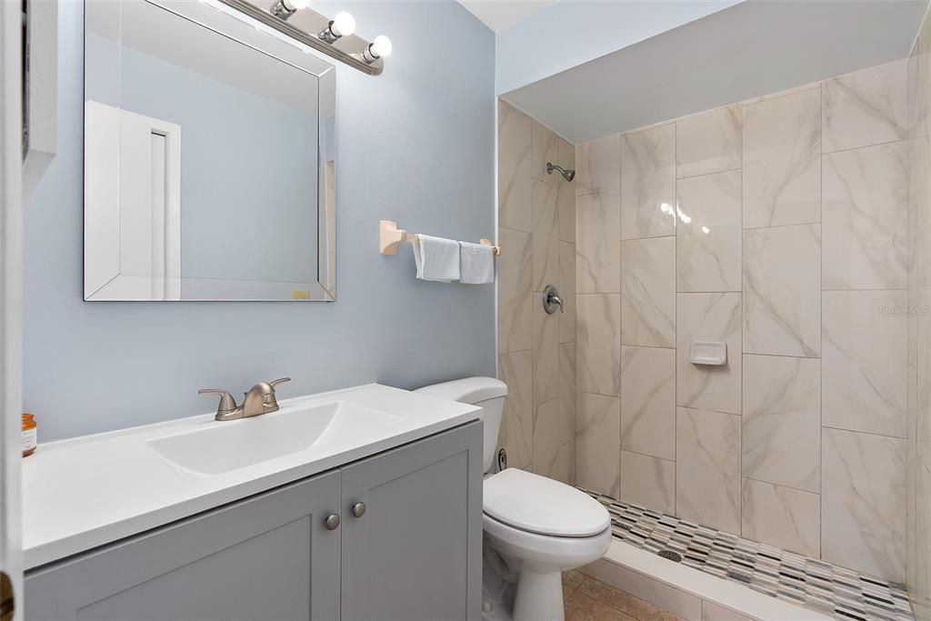 master bathroom downstairs.