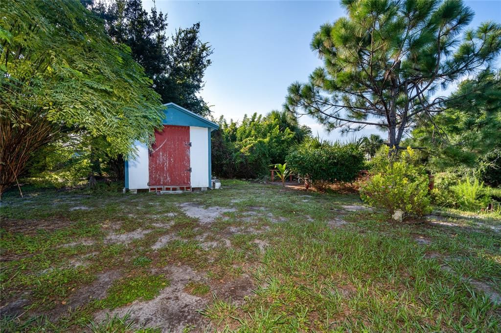 Spacious shed