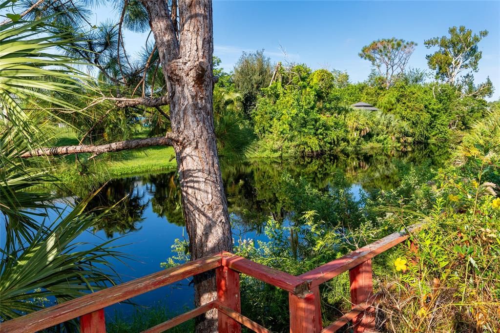 Wooded views