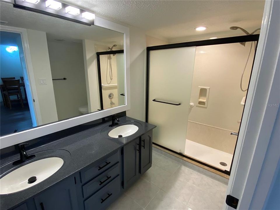 Bathroom sink and shower