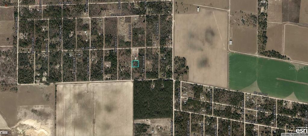 For Sale: $19,500 (1.00 acres)