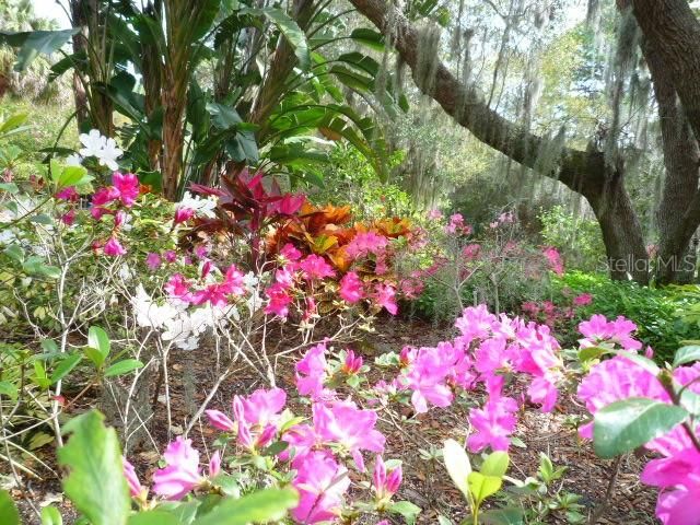 Lovely Landscaping