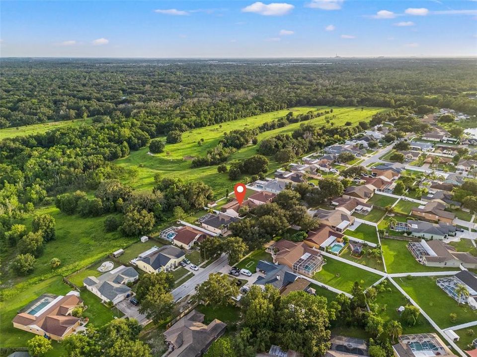 Aerial View - Conservation Lot!