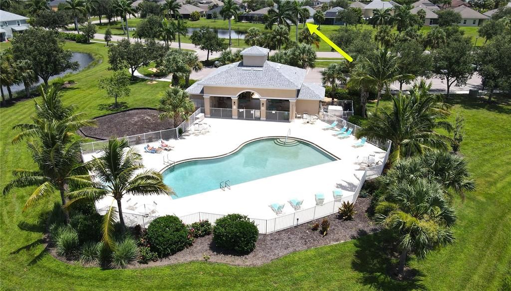 Calusa Creek community pool