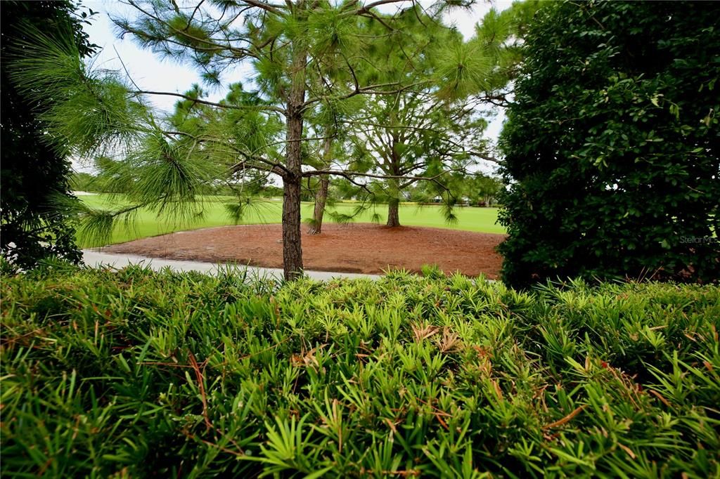 Golf course view in back of condo