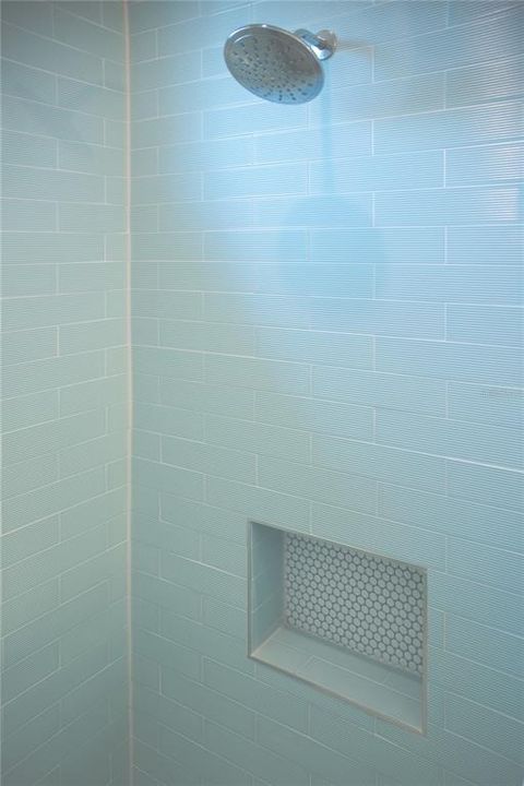 Guest shower Niche