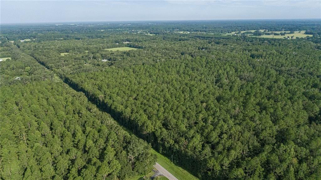 На продажу: $269,000 (11.91 acres)