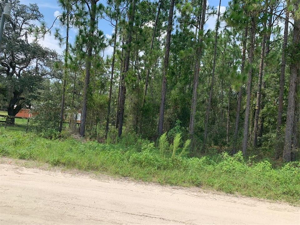 Active With Contract: $59,900 (1.16 acres)