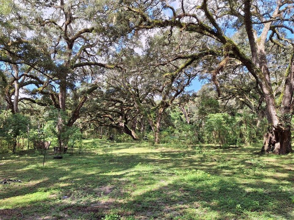 For Sale: $190,000 (2.50 acres)