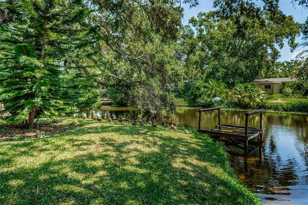 Rear Exterior and Pond