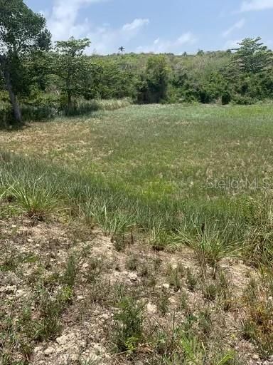 En Venta: $135,000 (0.31 acres)