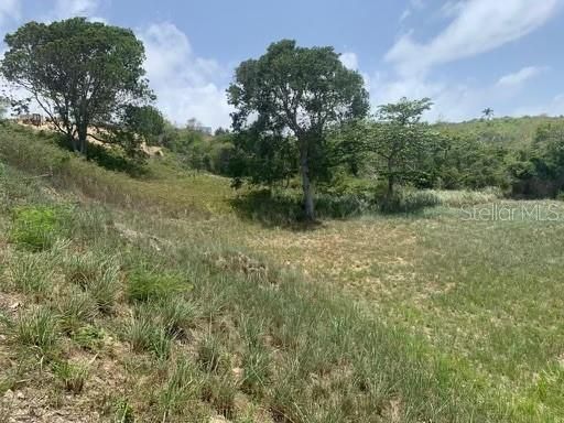 For Sale: $135,000 (0.31 acres)