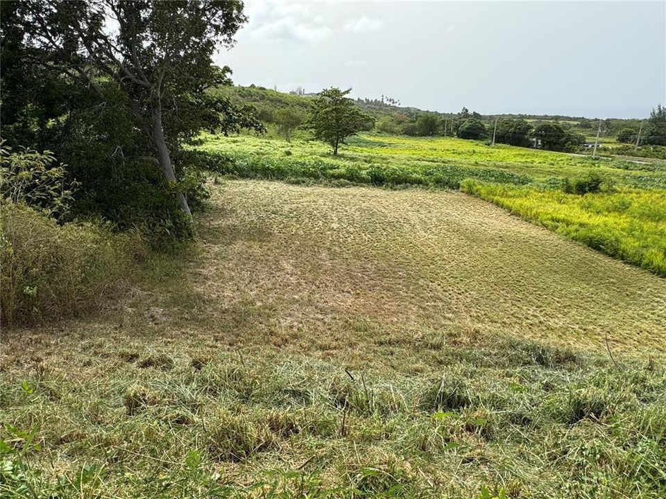 На продажу: $135,000 (0.31 acres)